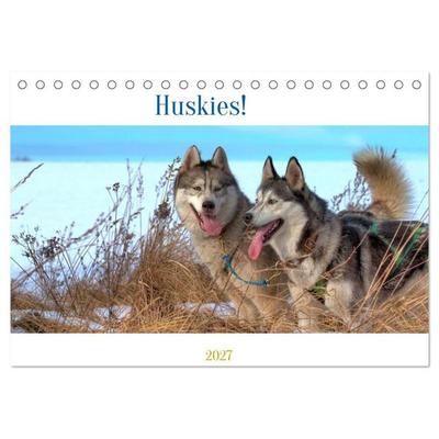 Huskies! (Tischkalender 2027 DIN A5 quer), CALVENDO Monatskalender