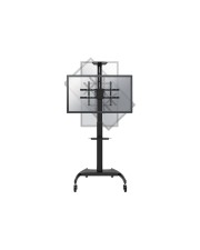 Neomounts Aufstellung für LCD-/Plasmafernseher Schwarz Bildschirmgröße: 94-177,8 cm 37"-70" Bodenaufstellung (PLASMA-M1900E)