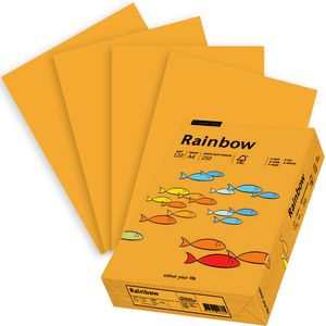 Papyrus Kopierpapier Rainbow 88042414, A4, 120g/qm, mittelorange, 250 Blatt