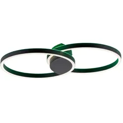 Paul Neuhaus, Deckenleuchte, Neuhaus LED-Deckenleuchte 2700-5000K, RGB, sw 6145-18, 6145-18 (4900 lm)