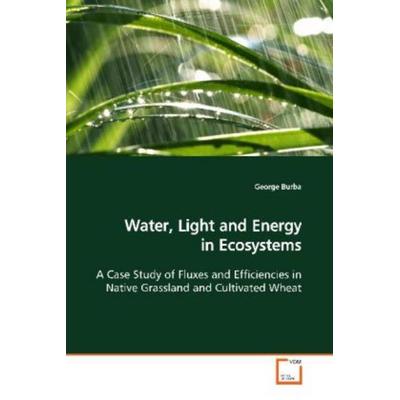 Burba, G: Water, Light and Energy in Ecosystems, Taschenbuch von George Burba, VDM, 978-3-639-16967-6
