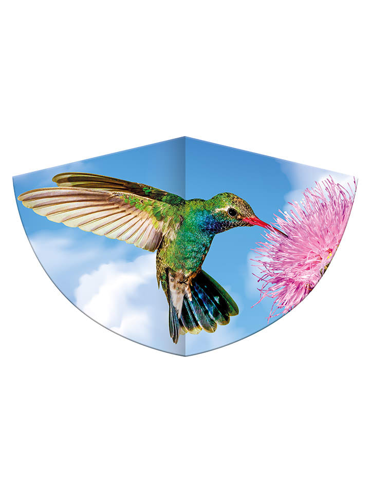 Günther Drache "KOLIBRI" - (L)68 x (B)122 cm - onesize