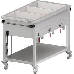 Stalgast Edelstahl Bain-Marie Wagen mit separaten Becken, für 2x GN1/880x600x850 mm