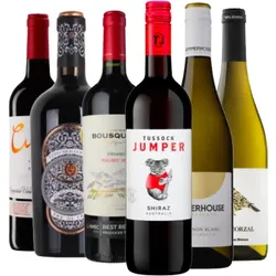 Weinpaket - Bestseller  aus aller Welt - 6 Fl. - 4.5L