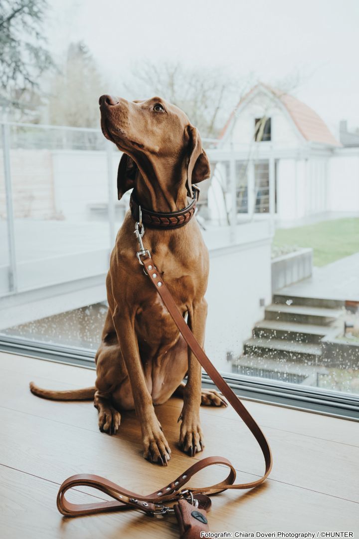 DOG SPORT HUNTER Halsband El Paso M-L (60), dunkelbraun/schwarz