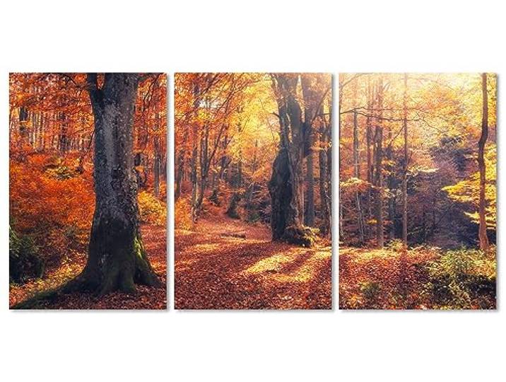 Queence Acrylglasbild 3-Teilig 180x90 cm Triptychon Herbstwald Wandbild Glasbild Acrylbild Acryl Glas Kunstdruck Wand-Deko mit Aufhängesystem