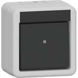 Gira 310630 Wippschalter AusWe WG AP Grau