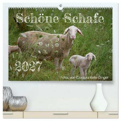 Schöne Schafe (hochwertiger Premium Wandkalender 2027 DIN A2 quer), Kunstdruck in Hochglanz