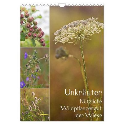 Unkräuter - Nützliche Wildpflanzen auf der Wiese (Wandkalender 2026 DIN A4 hoch), CALVENDO Monatskalender