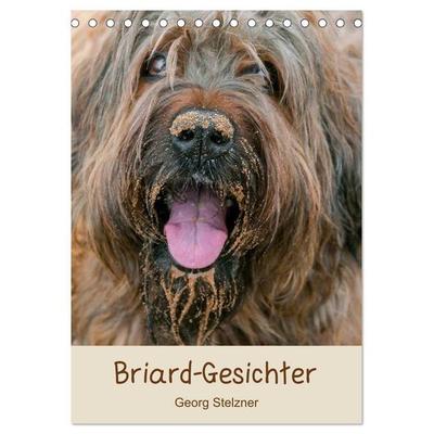 Briard-Gesichter (Tischkalender 2027 DIN A5 hoch), CALVENDO Monatskalender