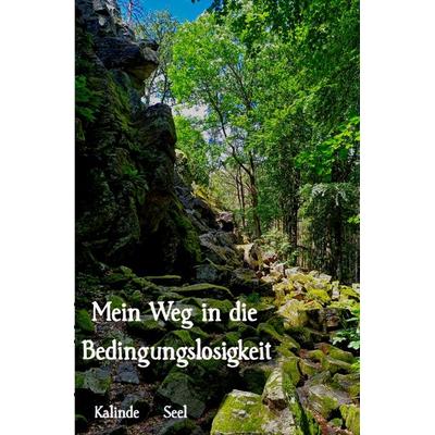 Bedingungslosigkeit leben, Taschenbuch von Kalinde Seel, Epubli, 978-3-8187-5367-2