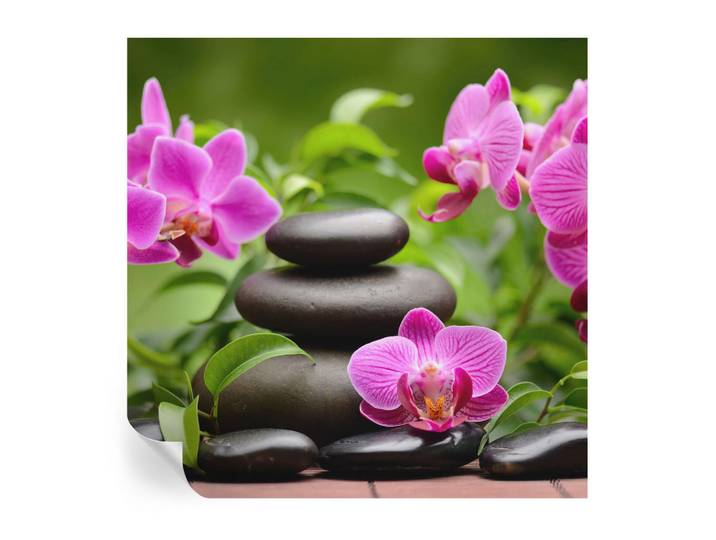 Wallfluent Fototapete 250x250 cm - Orchideensteine, Grün, 250x250 cm, Tapeten & Wandverkleidungen, Fototapeten