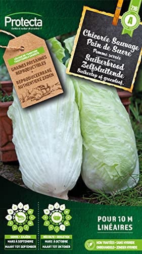 Protecta Zelfsluitende Suikerbrood Groentezaden