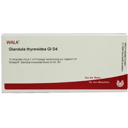 Glandula Thyreoidea GL D 4 Ampullen 10X1 ml