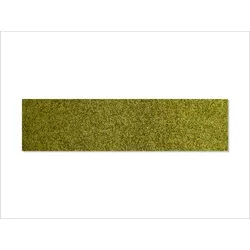 Keilbach Designprodukte Keilbach Schuhabstreifer, 147 x 37 cm, grün