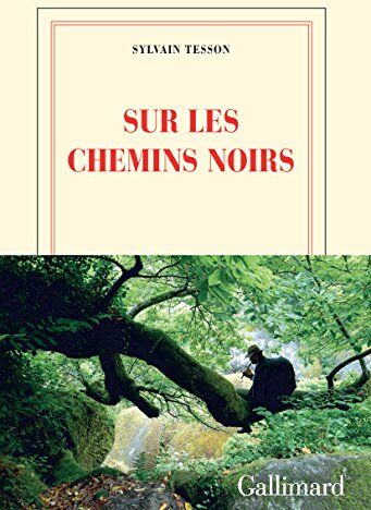 Sur les chemins noirs - Preis vom 01.10.2026 17:08:56 h