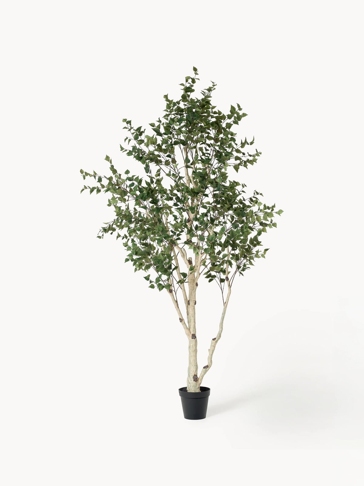 Botané Kunstplant Berk Green