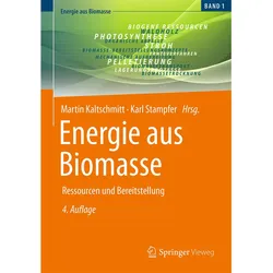 Energie aus Biomasse, Fachbücher von Martin Kaltschmitt, Karl Stampfer