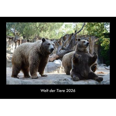 Welt der Tiere 2026 Fotokalender DIN A3