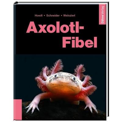 Axolotl-Fibel, Gebundene Ausgabe von Werner Hoedt,Maite Schneider,Friederike Weinzierl, Dähne Verlag