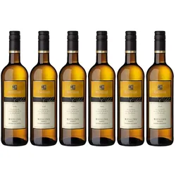 Württembergische WZG Fleiner Eselsberg Riesling Kabinett 0,75L 6er Karton