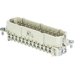 Wieland Steckereinsatz 70.310.2440.0  VPE 1