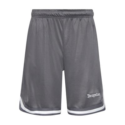 Dropsize "Dropsize Herren Dropsize Logo Mesh Shorts"
