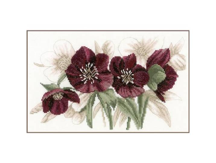Hellebores Kruissteek Kit