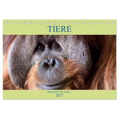 Tiere Schau mir in die Augen (Tischkalender 2027 DIN A5 quer), CALVENDO Monatskalender