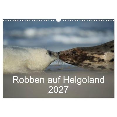 Robben auf Helgoland 2027 (Wandkalender 2027 DIN A3 quer), CALVENDO Monatskalender