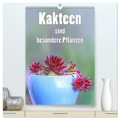 Kakteen sind besondere Pflanzen (hochwertiger Premium Wandkalender 2027 DIN A2 hoch), Kunstdruck in Hochglanz