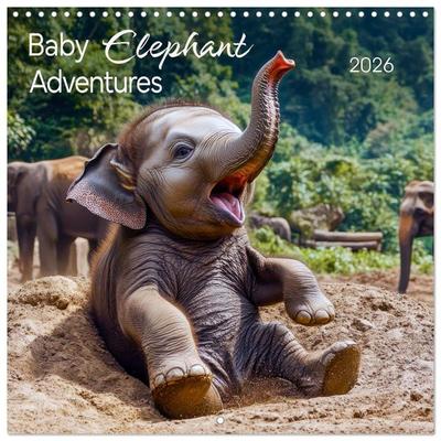 Baby Elephant Adventures (Wall Calendar 2026 12 × 12 Inch) CALVENDO 12 Month Wall Calendar