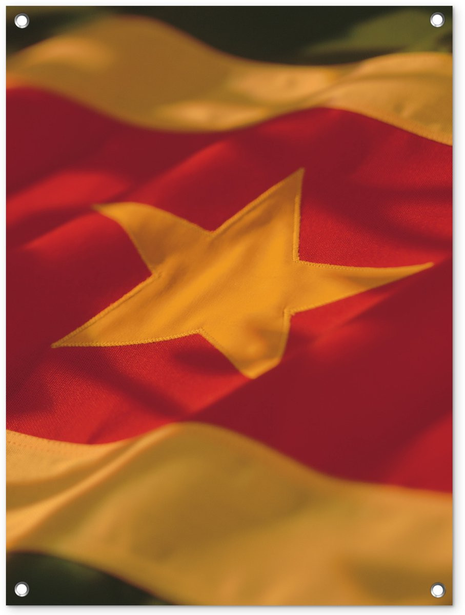 Tuinposter De vlag van Suriname - Tuindecoratie voor buiten - Breedte: 60 cm, Hoogte: 80 cm