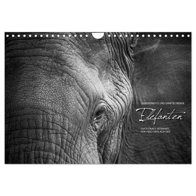 Emotionale Momente: Elefanten in black & white (Wandkalender 2027 DIN A4 quer), CALVENDO Monatskalender