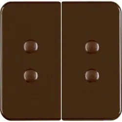 Berker Wippe br/gl 156511