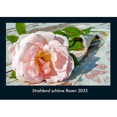 Strahlend schöne Rosen 2025 Fotokalender DIN A4
