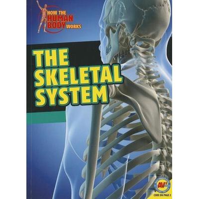 The Skeletal System, Taschenbuch von Simon Rose, Av2 by Weigl, 978-1-4896-1183-3