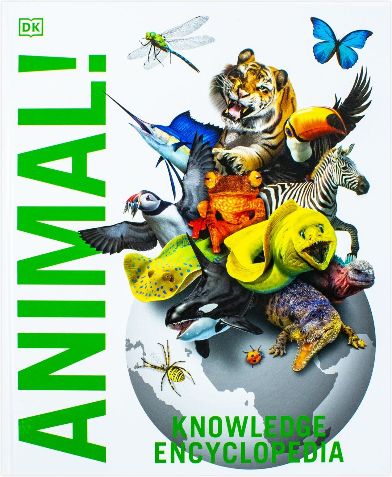 Knowledge Encyclopedia Animal The Animal Kingdom As Youve Never Seen It Before by DK