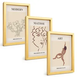 BILDER SET 3er Set - 20x30 cm Goldrahmen - Stilvolle Grafiken, Blumen, Figuren