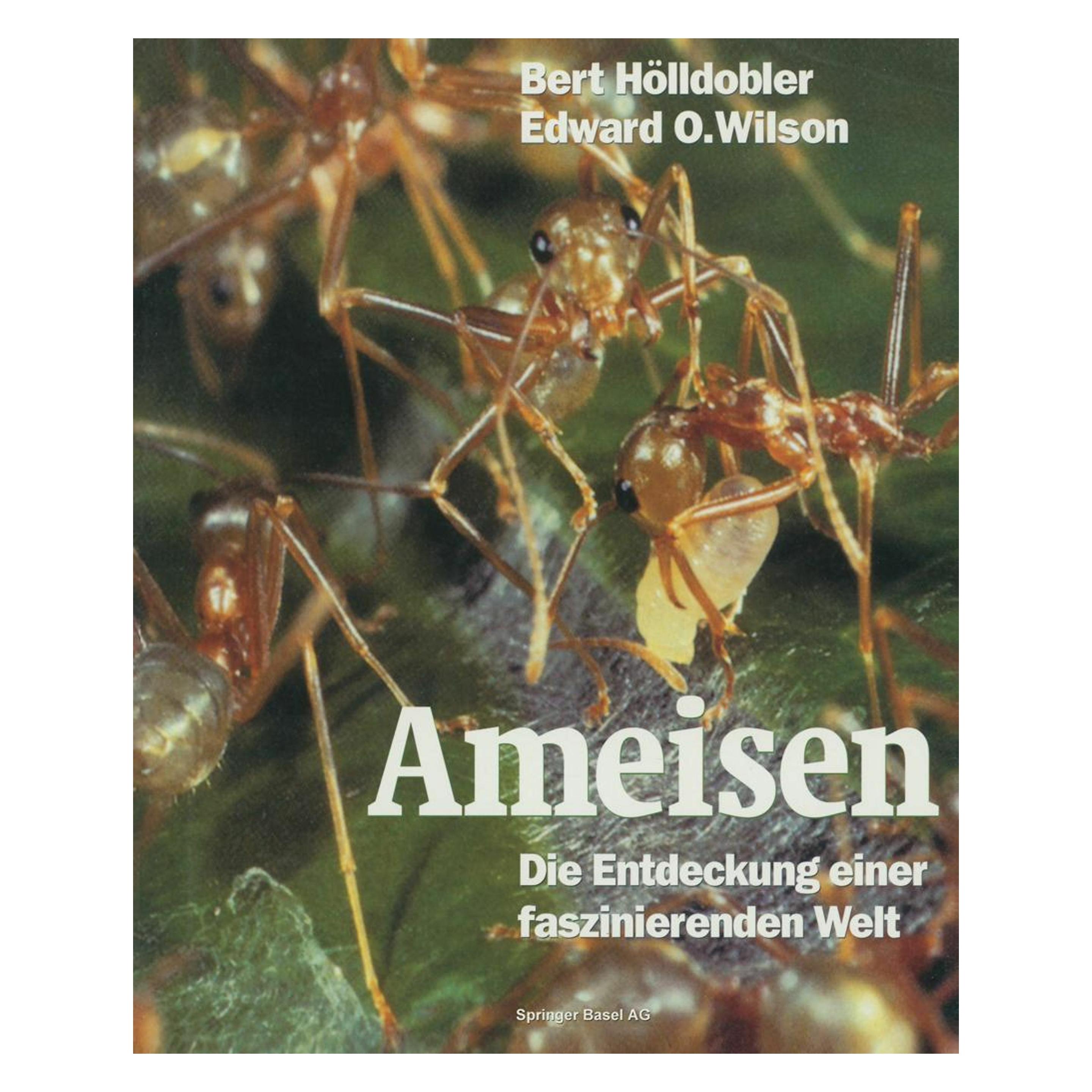 Birkhäuser Ameisen (Deutsch, Softcover, Bert Hölldobler, Edward O. Wilson) (7324157)