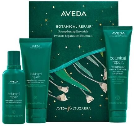 Aveda Botanical Repair Gift Set