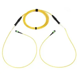 Corning Stammkabel 96FasernOS2 50m G909096GLZ88U050M