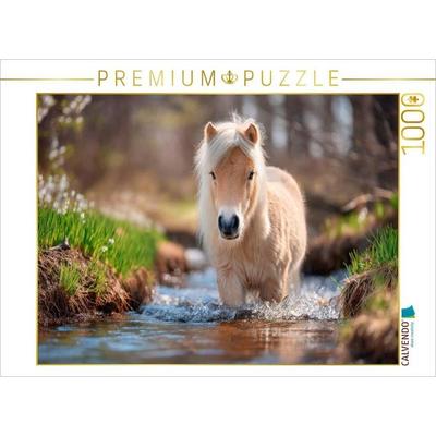 CALVENDO Puzzle Shetlandpony - Abenteuer im Bach | 1000 Teile Lege-Größe 64 × 48 cm Foto-Puzzle für glückliche Stunden, von , Calvendo Puzzle