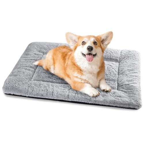Baodan Hondenbed voor kleine en middelgrote honden, grijs, 75 x 50 cm