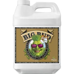 AN Big Bud Coco 10 l