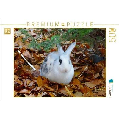 CALVENDO Puzzle Kaninchen im Herbstlaub | 500 Teile Lege-Größe 48 × 36 cm Foto-Puzzle für Erwachsene