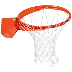 Sport-Thieme, Basketballkorb