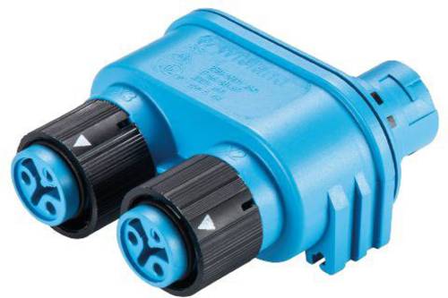 Wieland Electric 46.030.1254.9 Rundstecker Verteiler Gesamtpolzahl: 2 Serie (Rundsteckverbinder): RST MINI 1St.