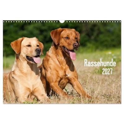 Rassehunde (Wandkalender 2027 DIN A3 quer), CALVENDO Monatskalender