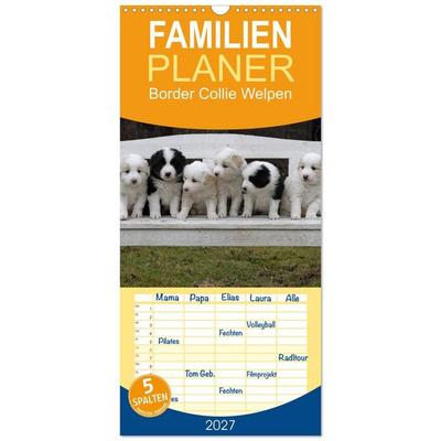 Familienplaner 2027 - Border Collie Welpen mit 5 Spalten (Wandkalender, 21 x 45 cm) CALVENDO